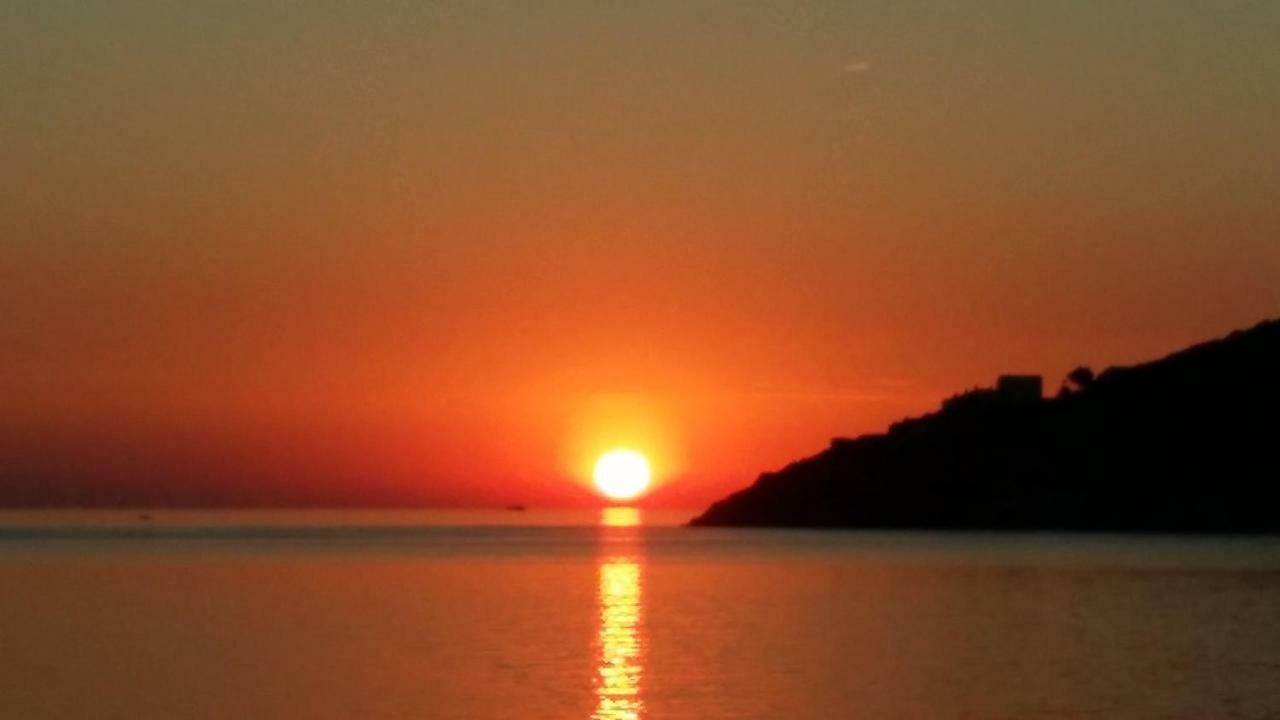 Carpe Diem Port De La Selva El Port De La Selva 외부 사진